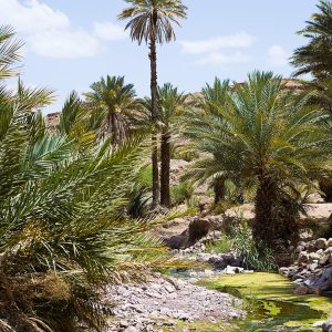 La maison des rêves - Maroc
