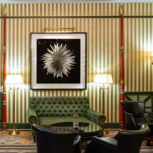 10044-shangri-la-bar-chrysantheme