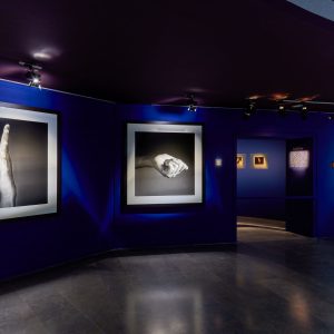 Scénographie de l'exposition Infinis d'Asie de Jean-Baptiste Huynh au musée National des Arts Asiatiques Guimet, Paris, du 20 février au 20 mai 2019.