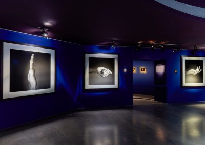 Scénographie de l'exposition Infinis d'Asie de Jean-Baptiste Huynh au musée National des Arts Asiatiques Guimet, Paris, du 20 février au 20 mai 2019.