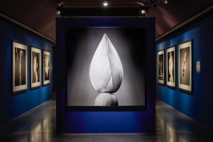 Scénographie de l'exposition Infinis d'Asie de Jean-Baptiste Huynh au musée National des Arts Asiatiques Guimet, Paris, du 20 février au 20 mai 2019.