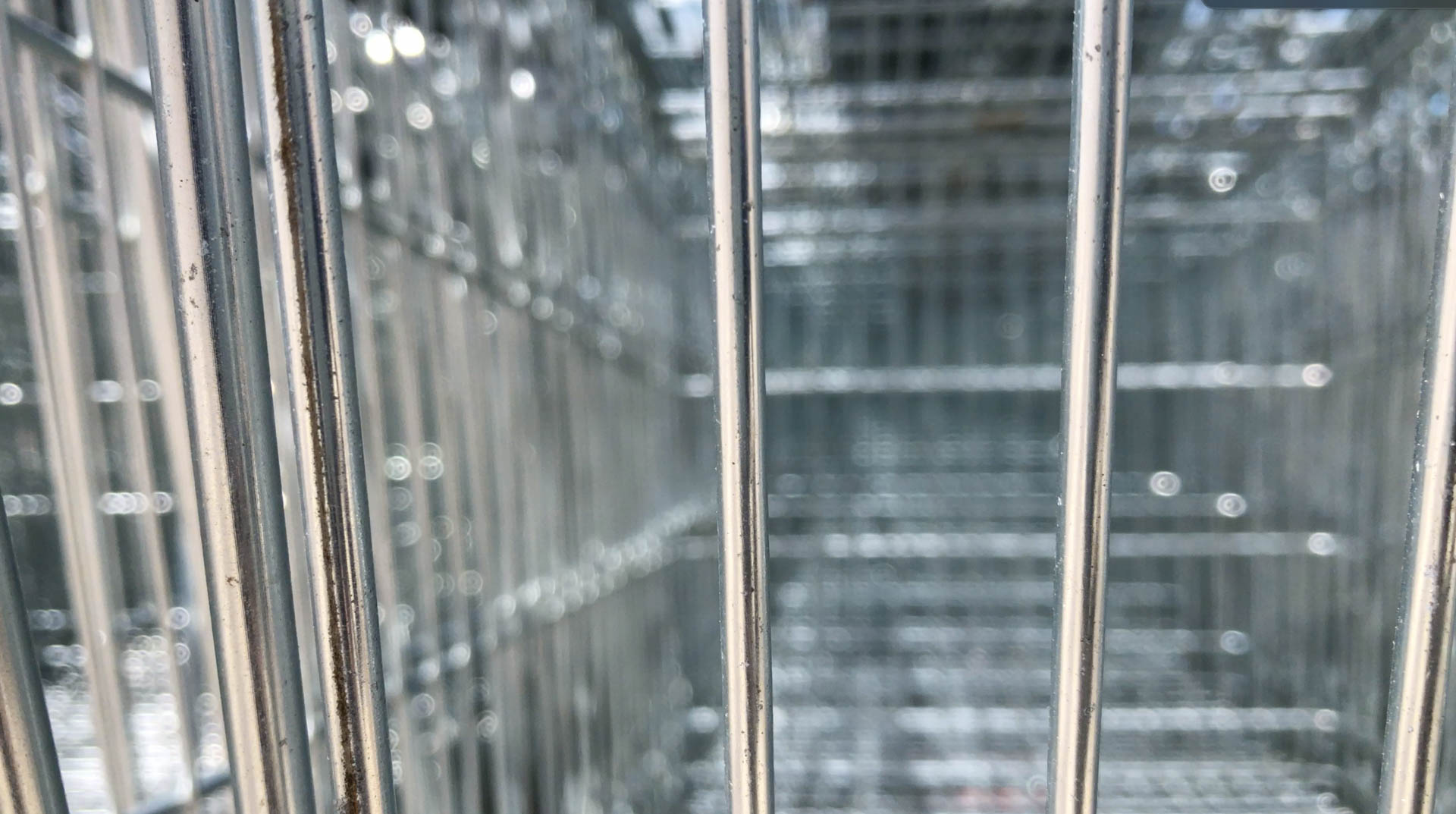 video-screen-ballade-du-caddie-01-2k Extrait rushes la Ballade du Caddie